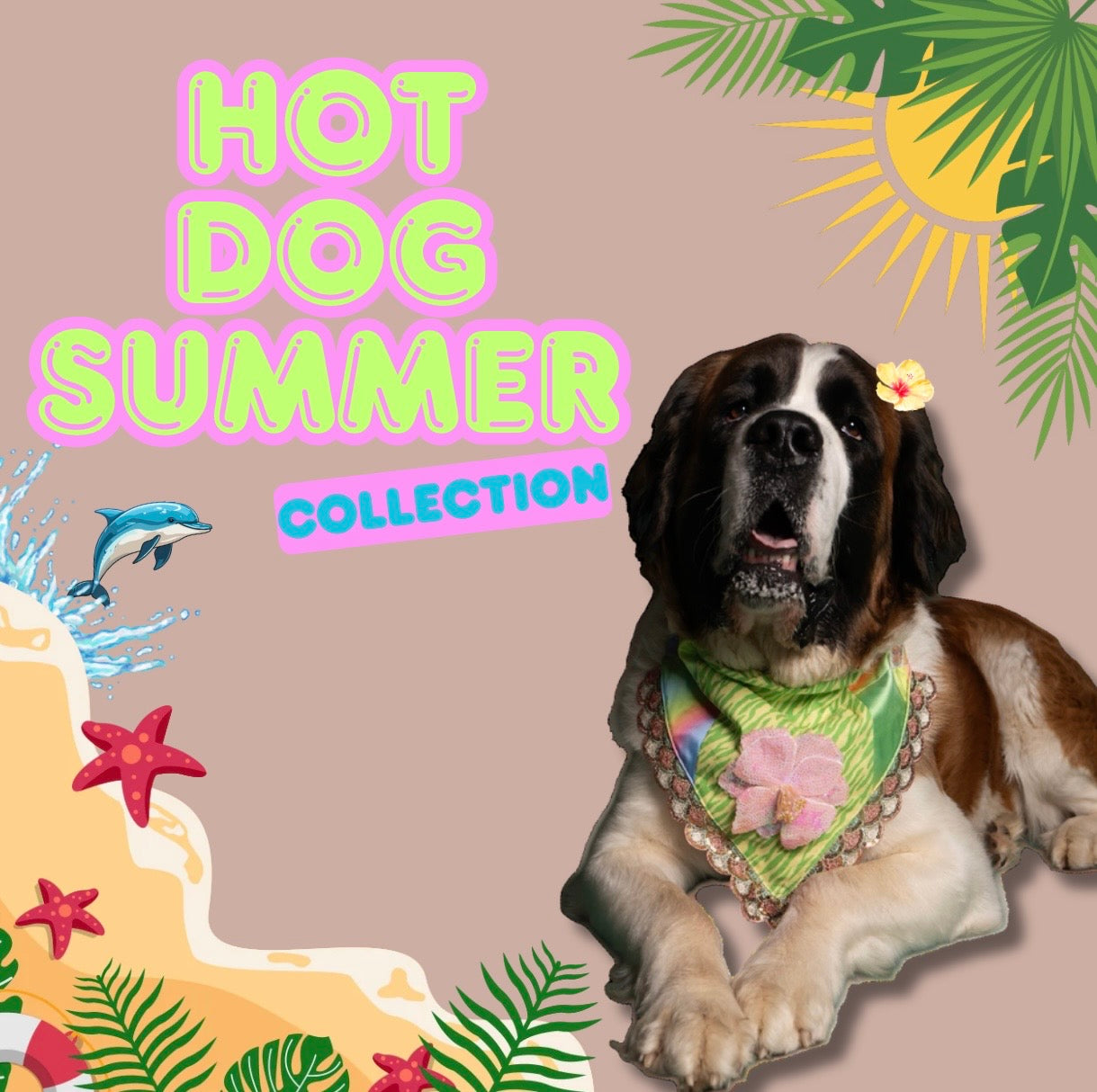 The Hot Dog Summer Collection