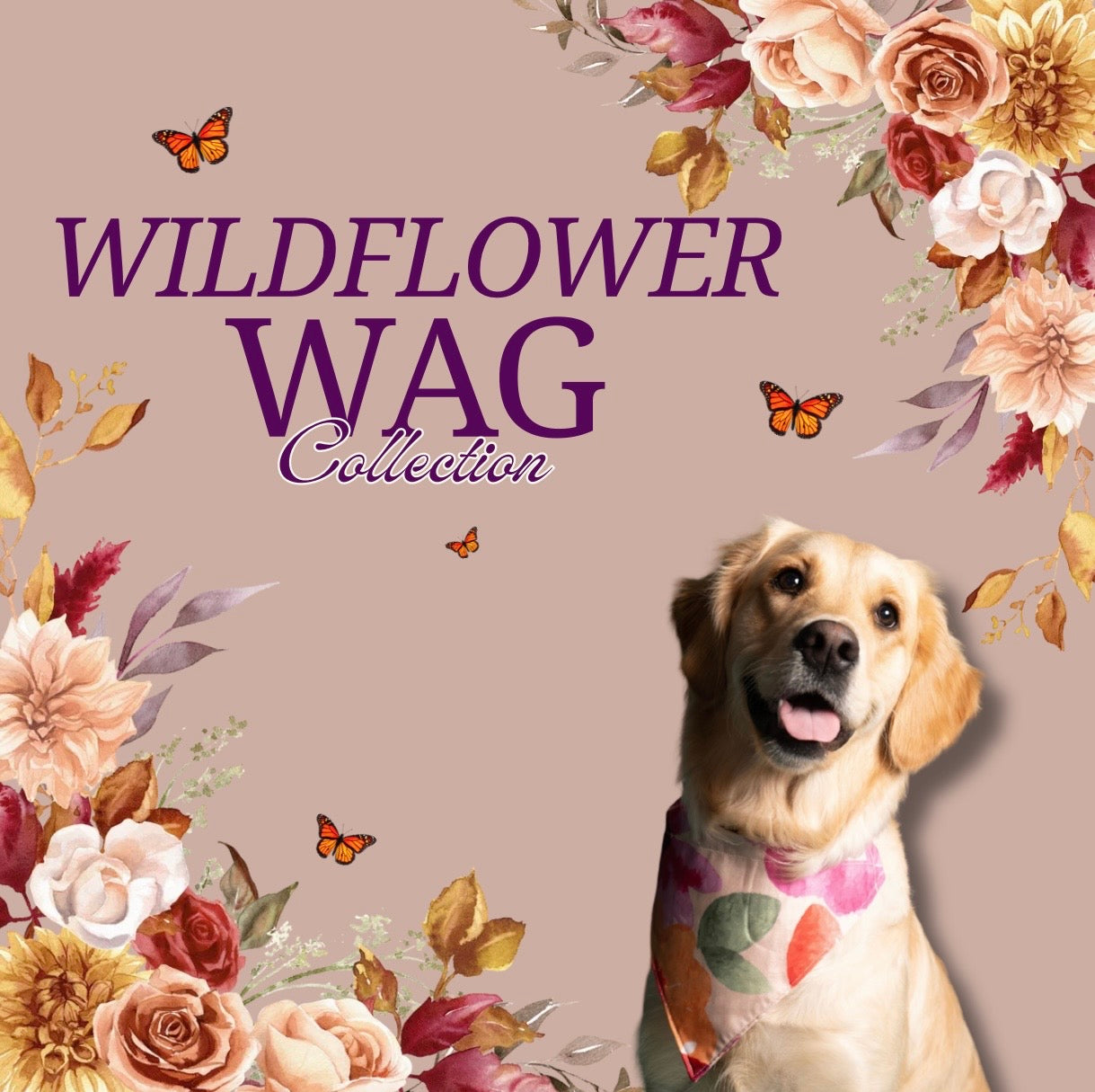 The Wildflower Wag Collection