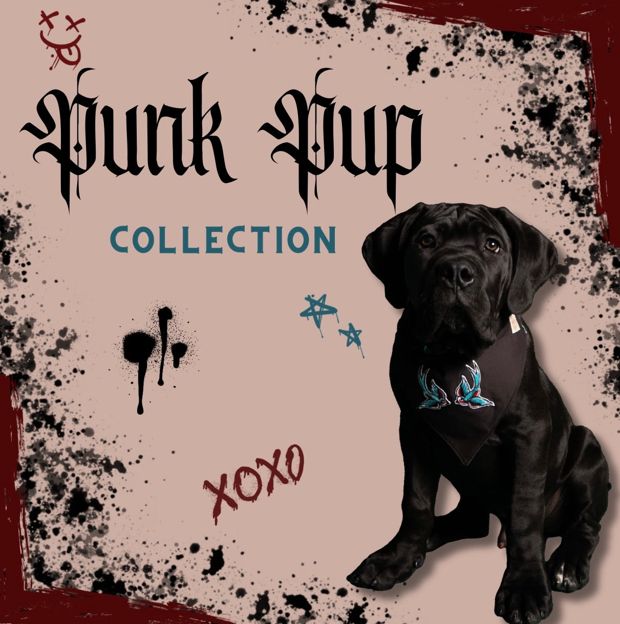The Punk Pups Collection