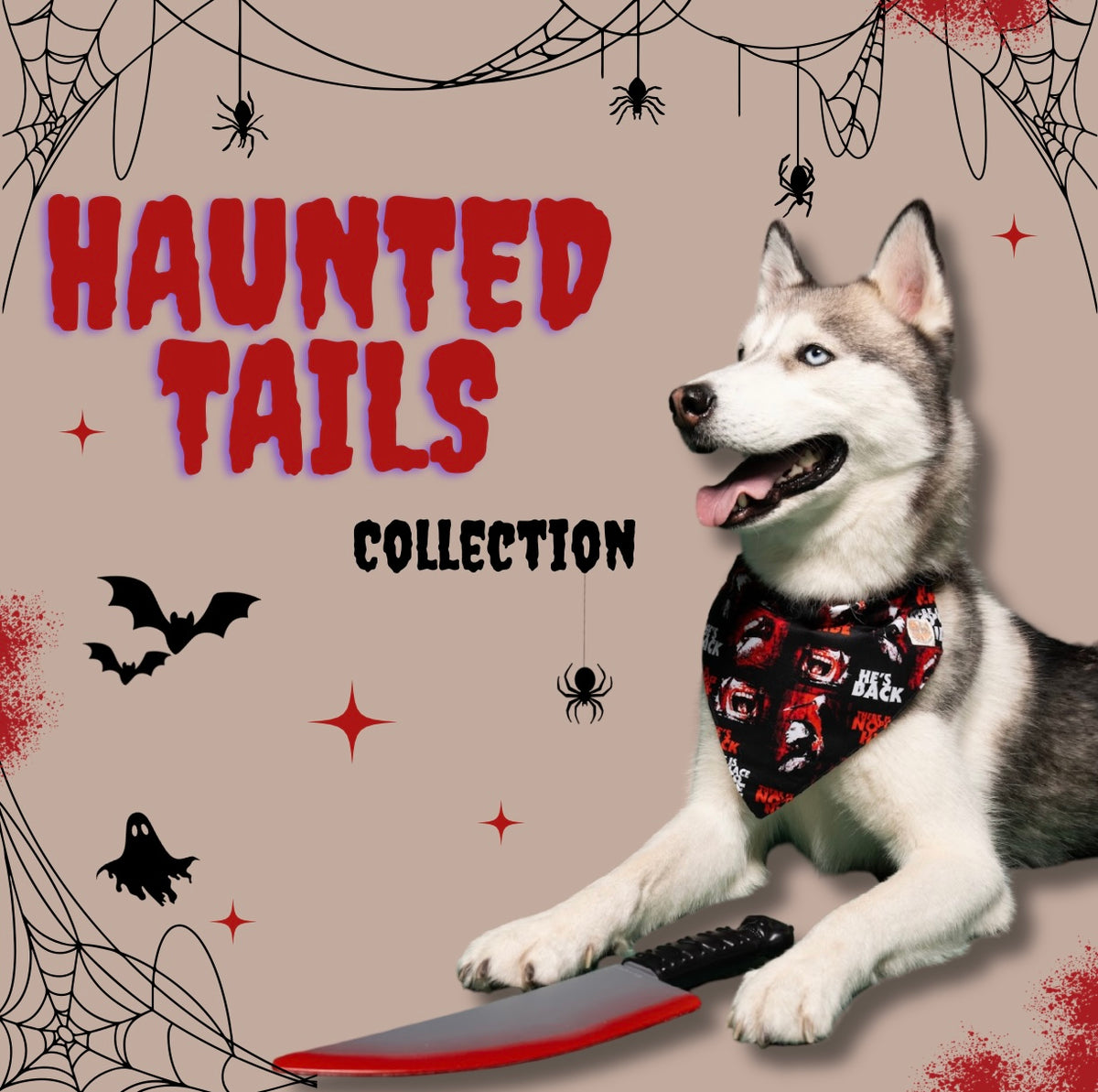 The Haunted Tails Collection