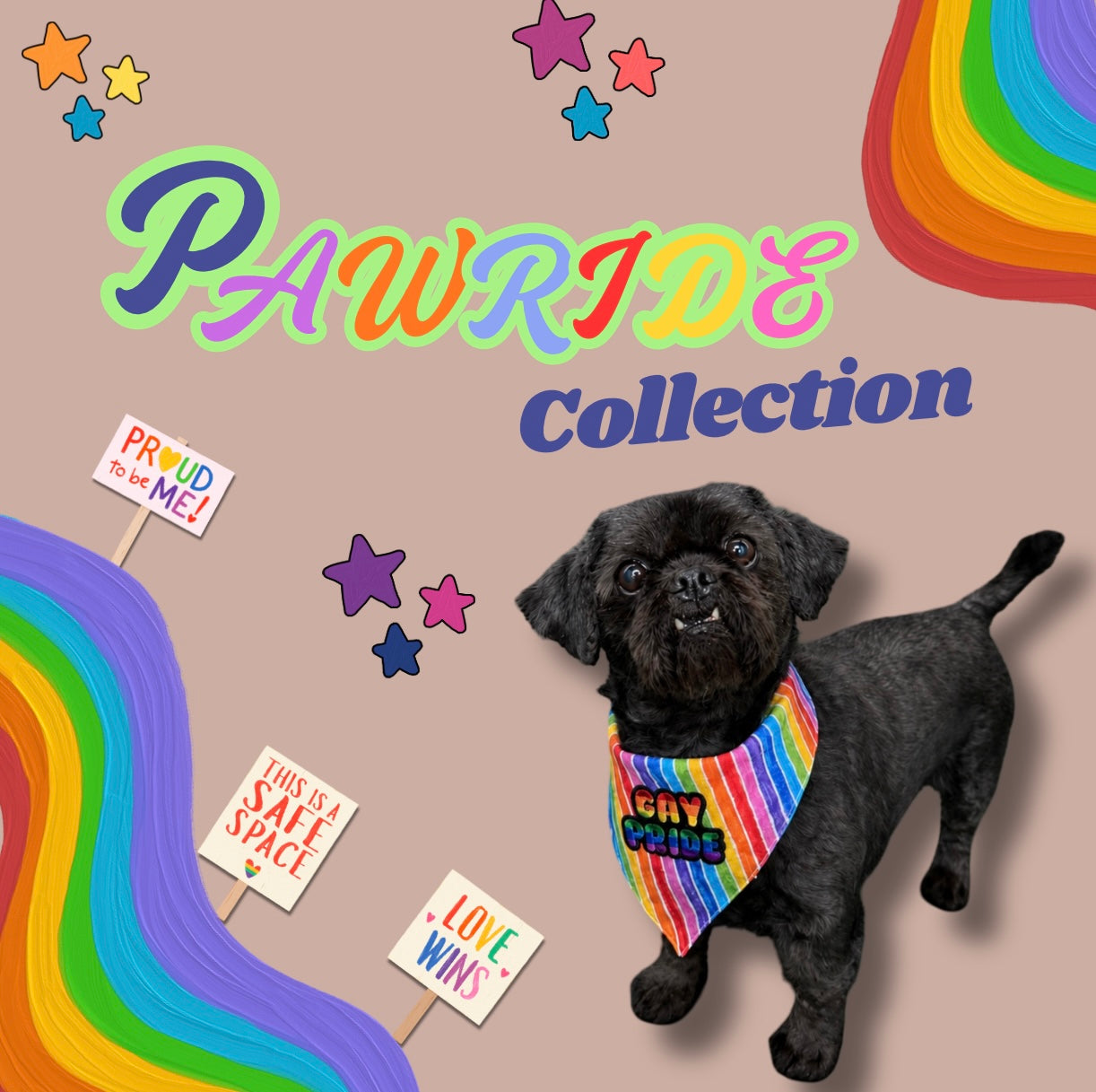 The Pawride Collection