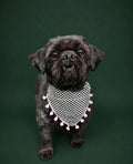 Houndstooth hound