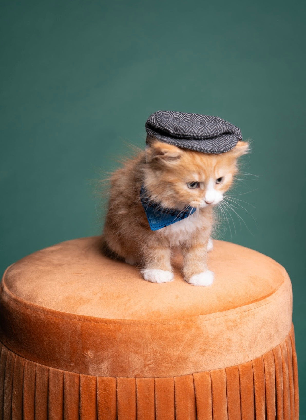 Tiny train tails
