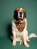 Pups Pumpkin Patch