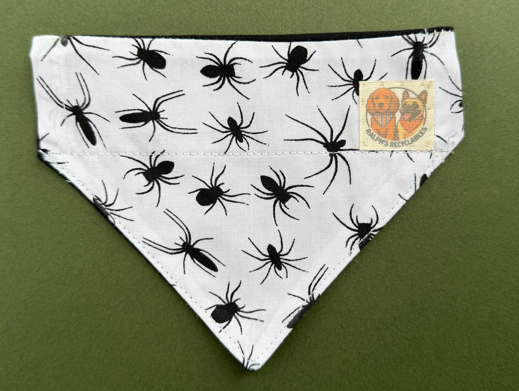 Spiders Layer