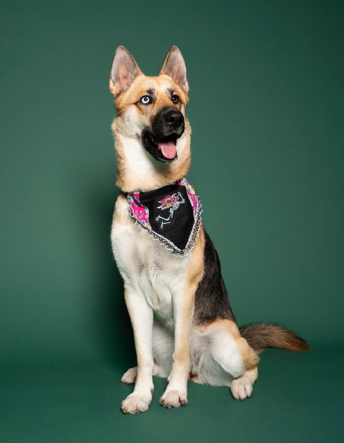 Sugar skull Cupid