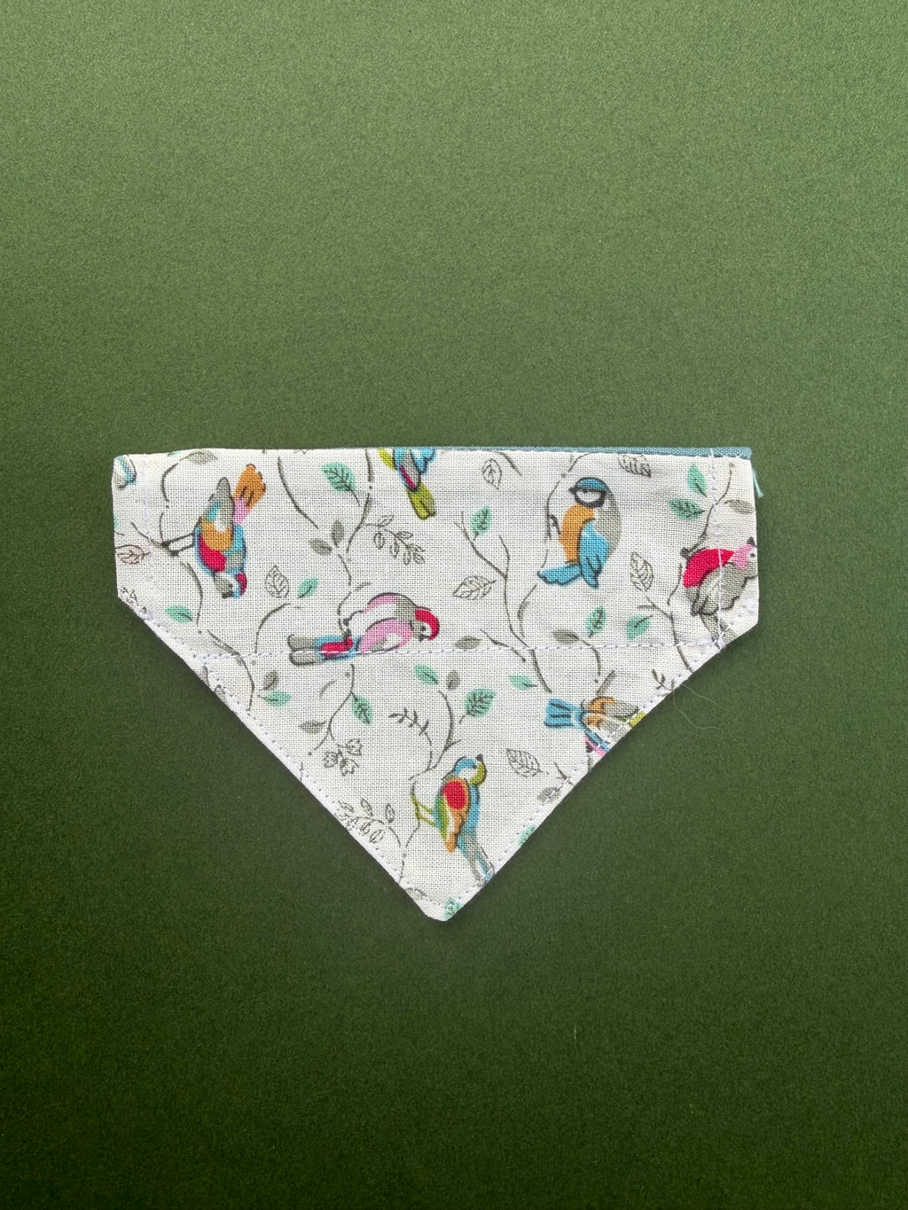 Little song birds
