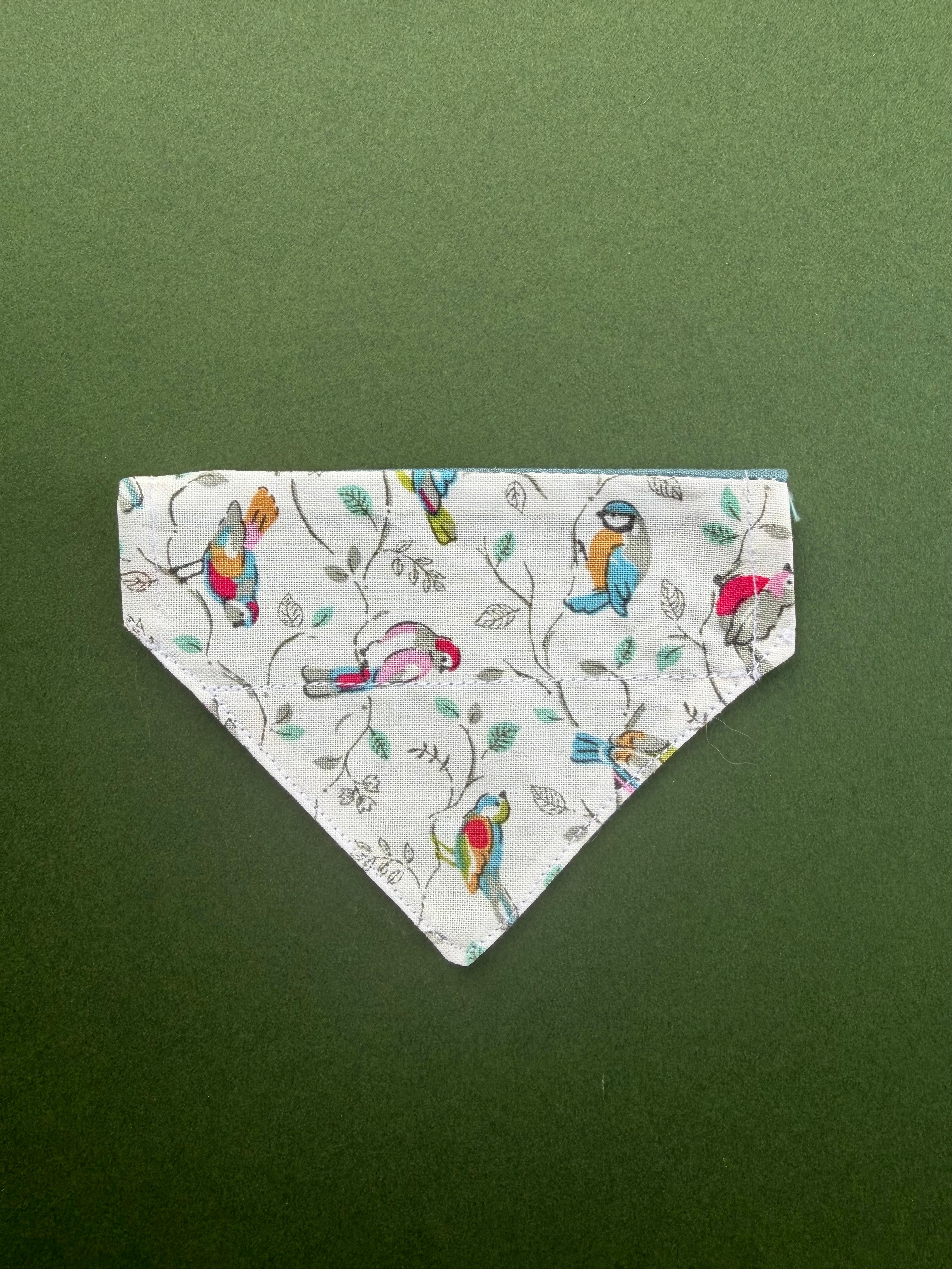 Little song birds