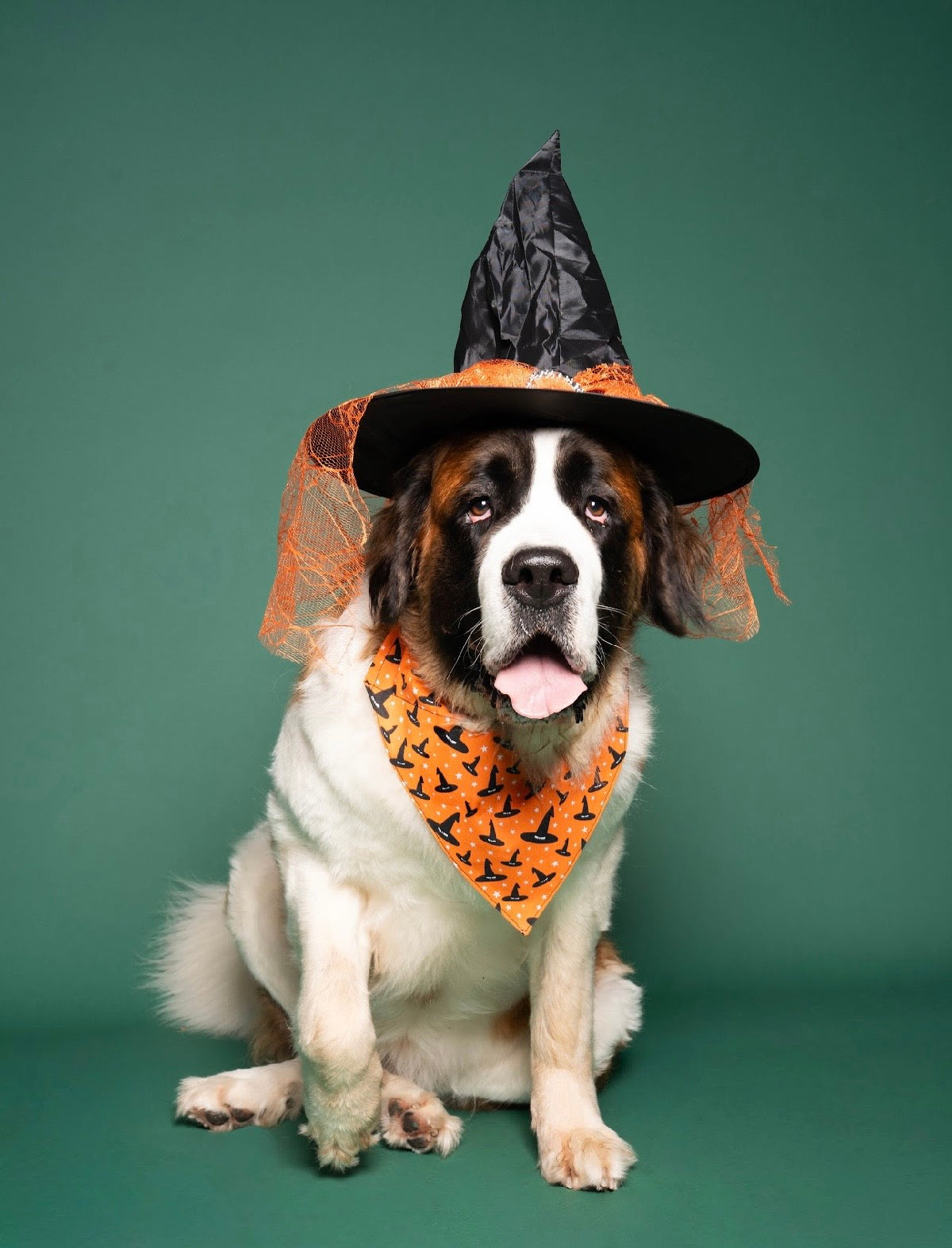 Witch please