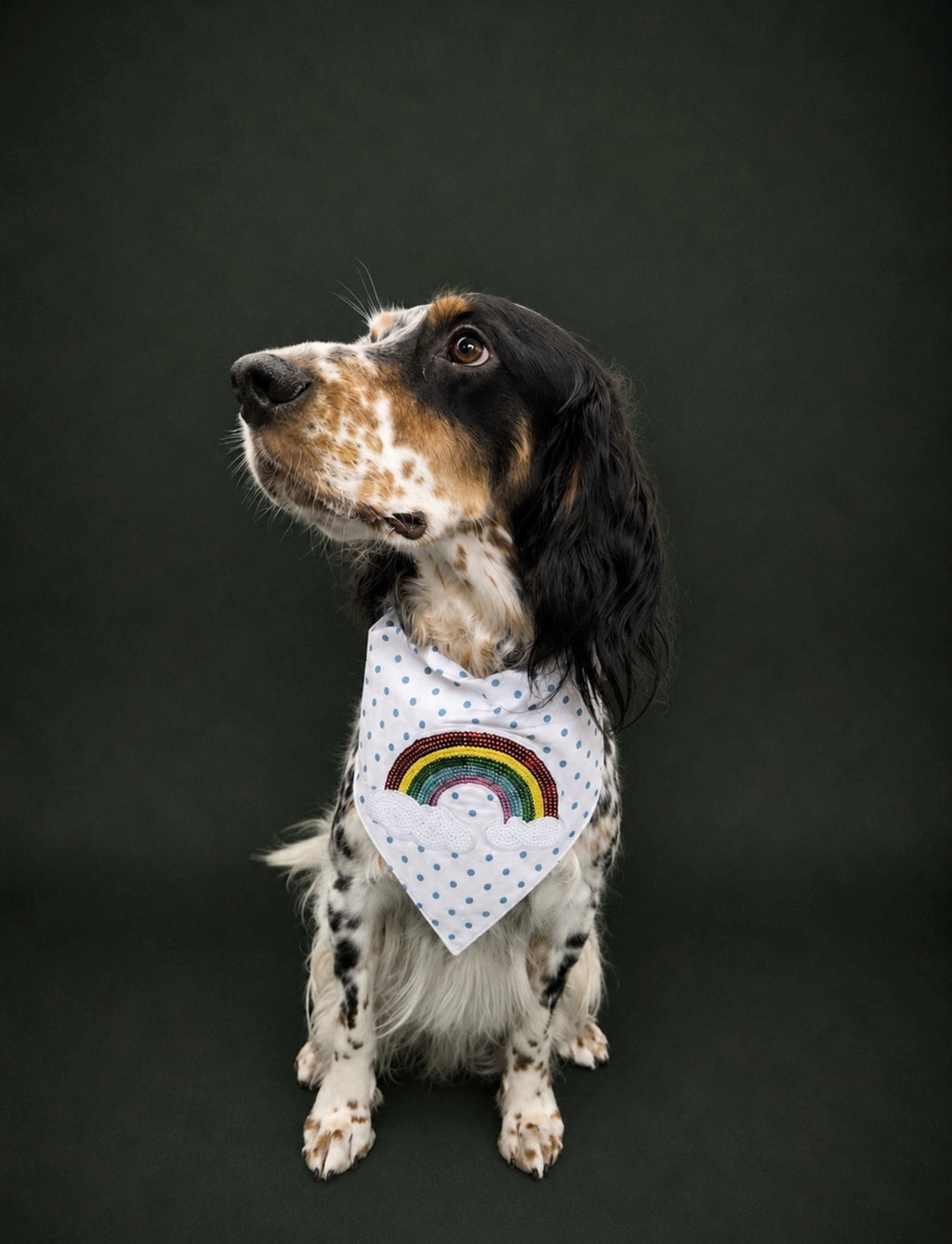 Over the rainbow