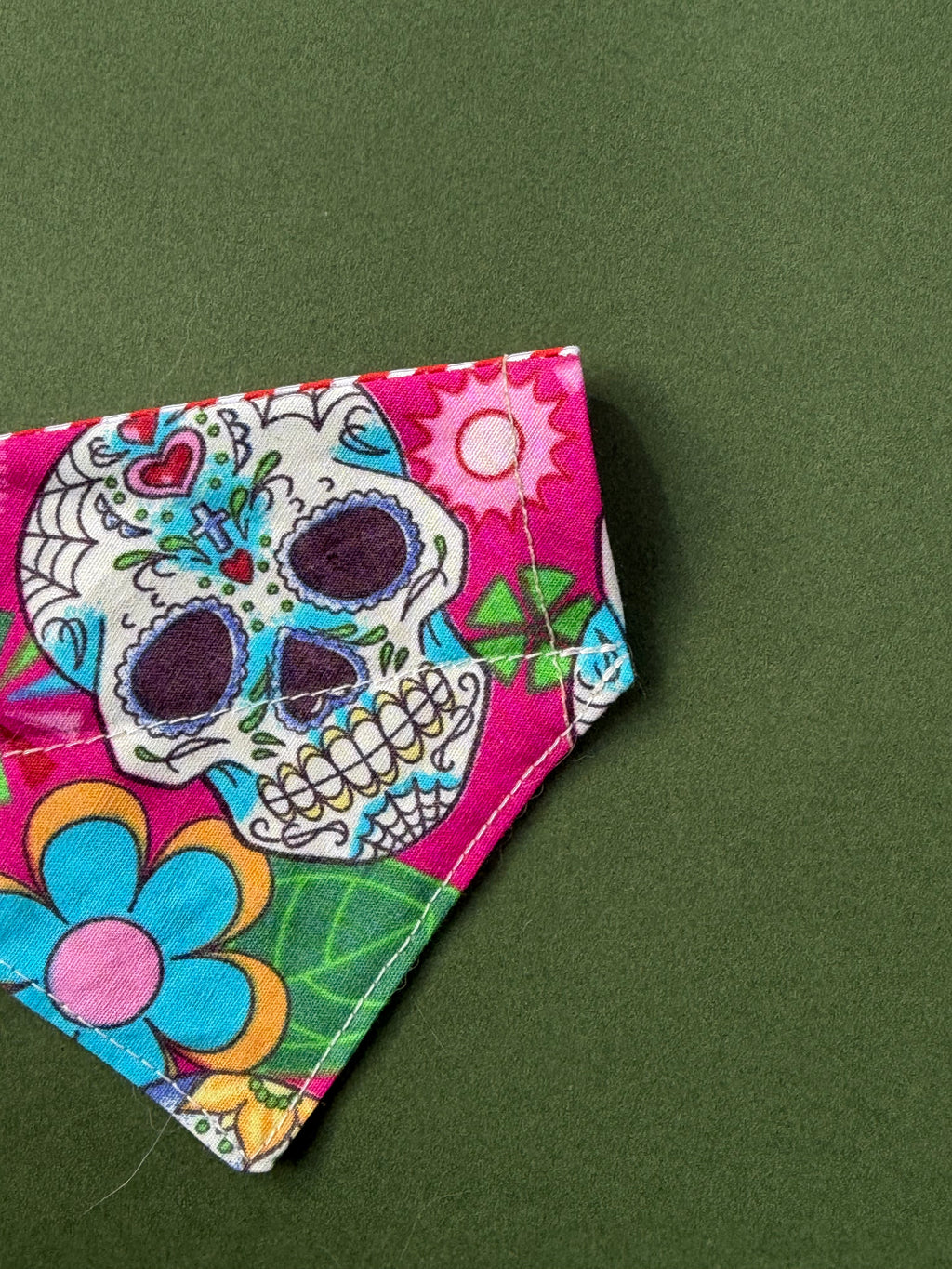 Sweet sugar skull ( cat )