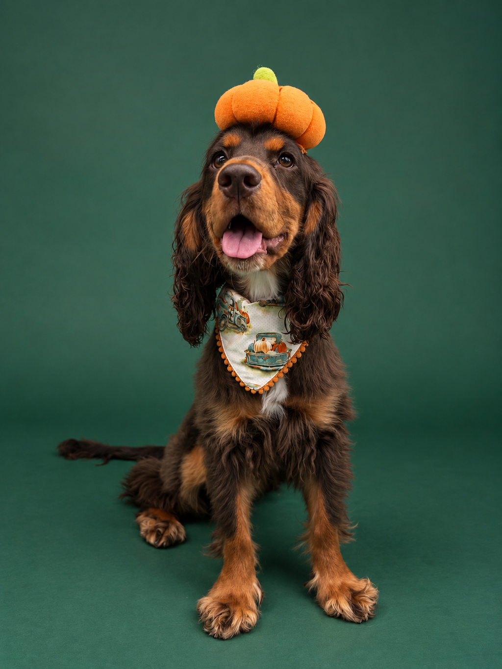 Pumpkin patch pickup