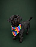 Gay Pride ( poppet )