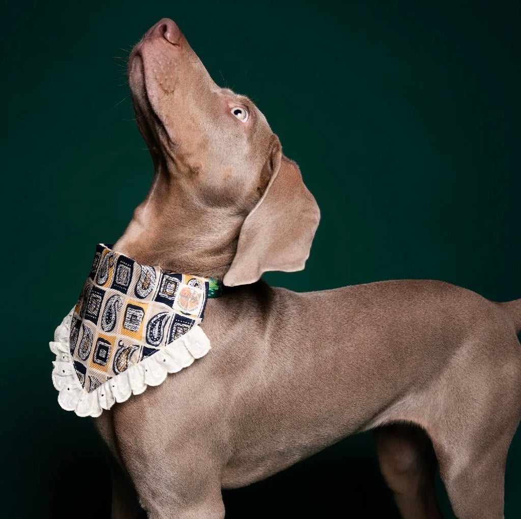 Ruffle rodeo