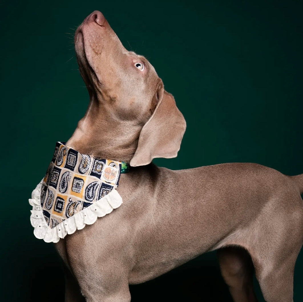 Ruffle rodeo