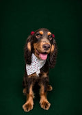 Rosie posie