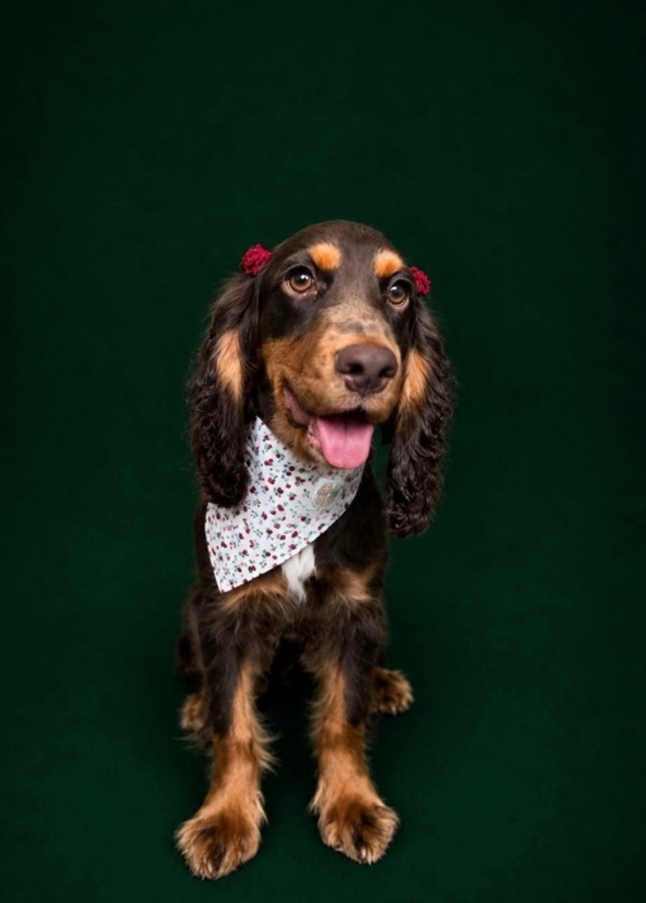 Rosie posie