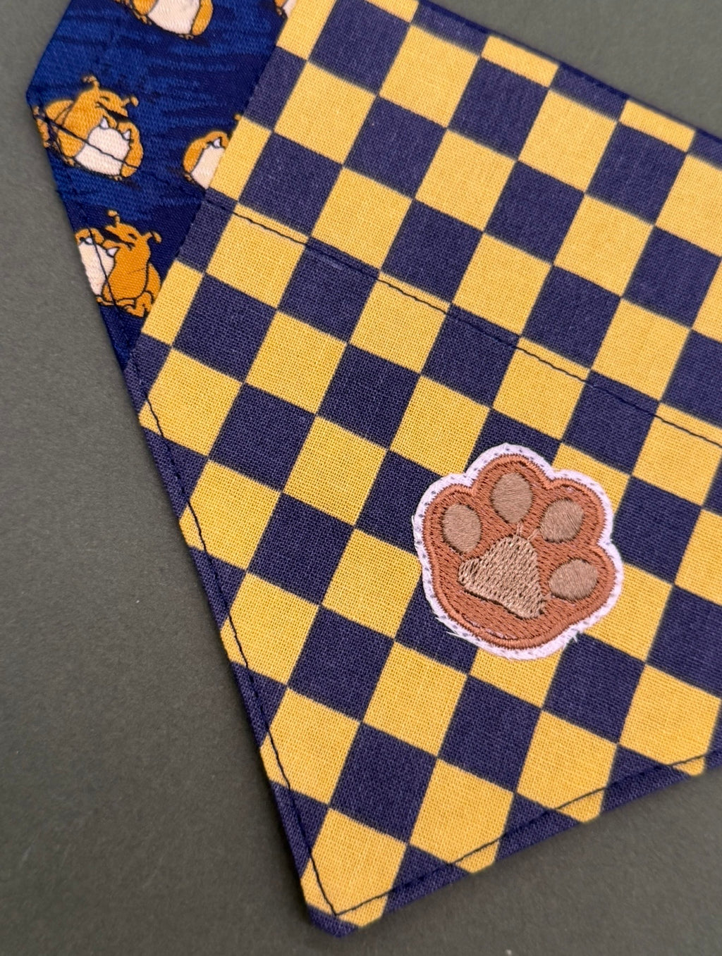 Checkered champion