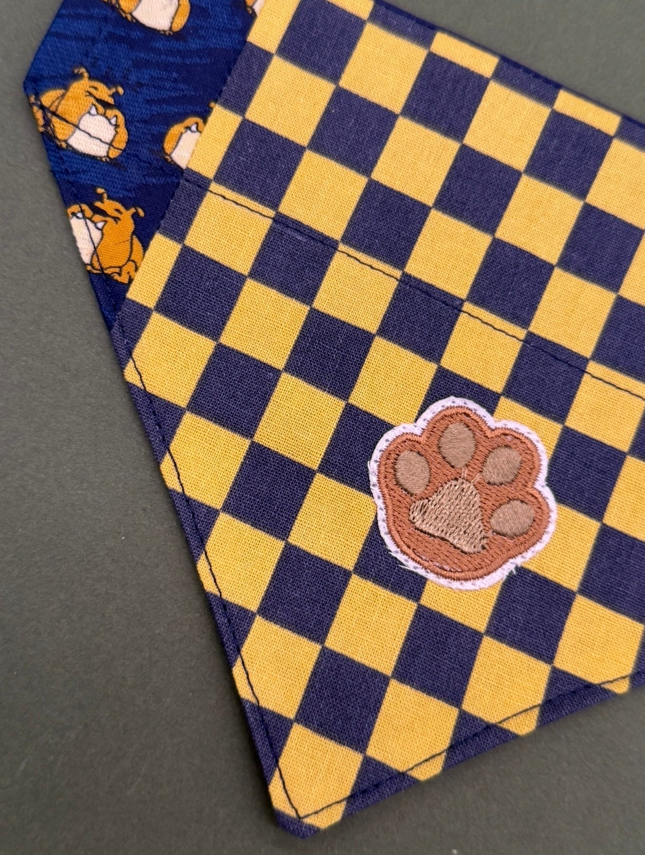 Checkered champion