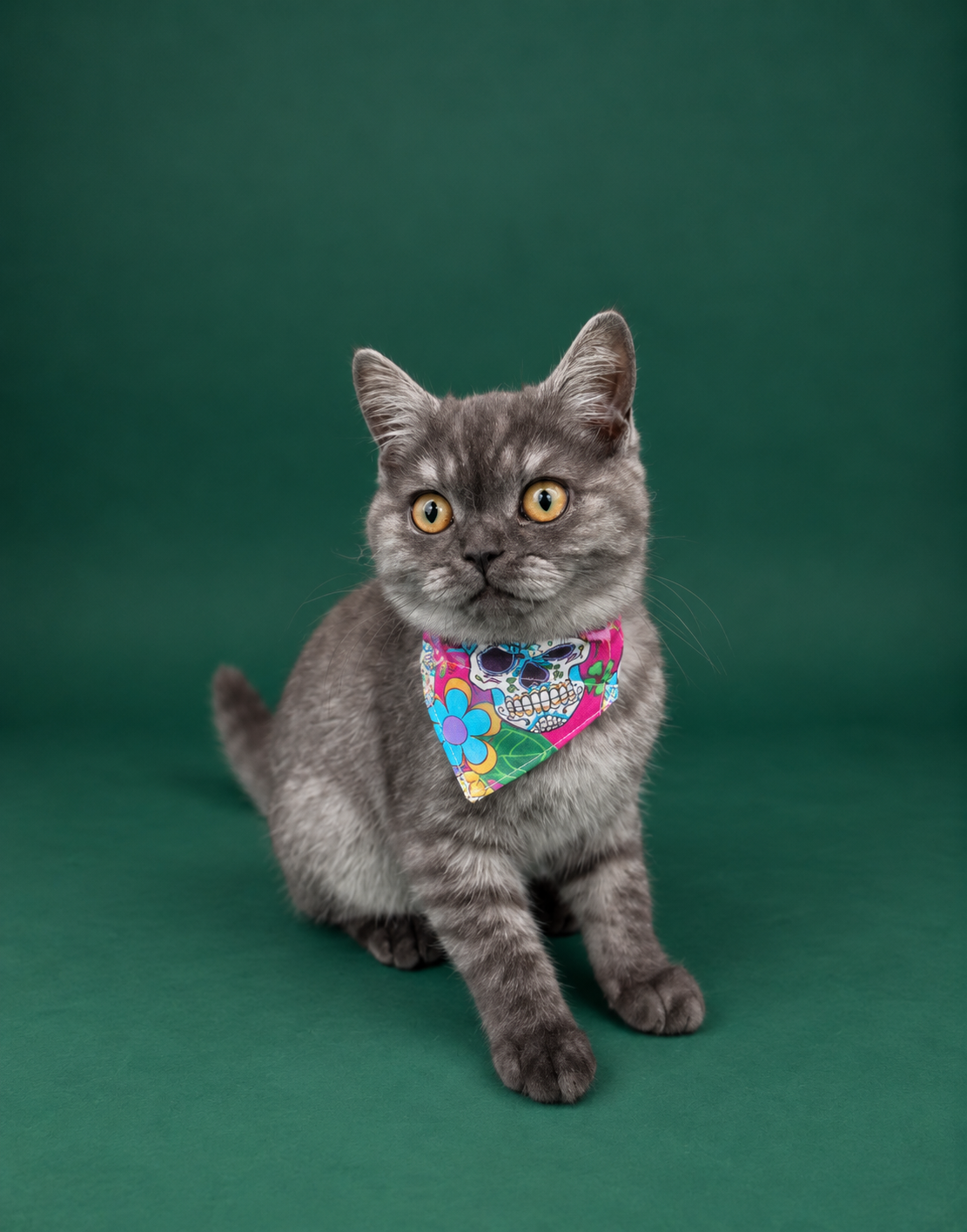 Sweet sugar skull ( cat )