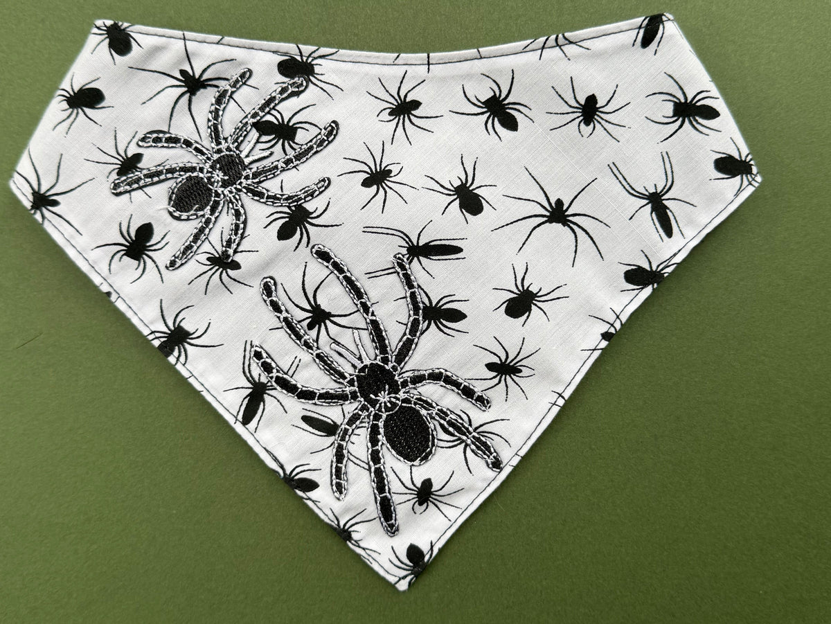 The spiders web