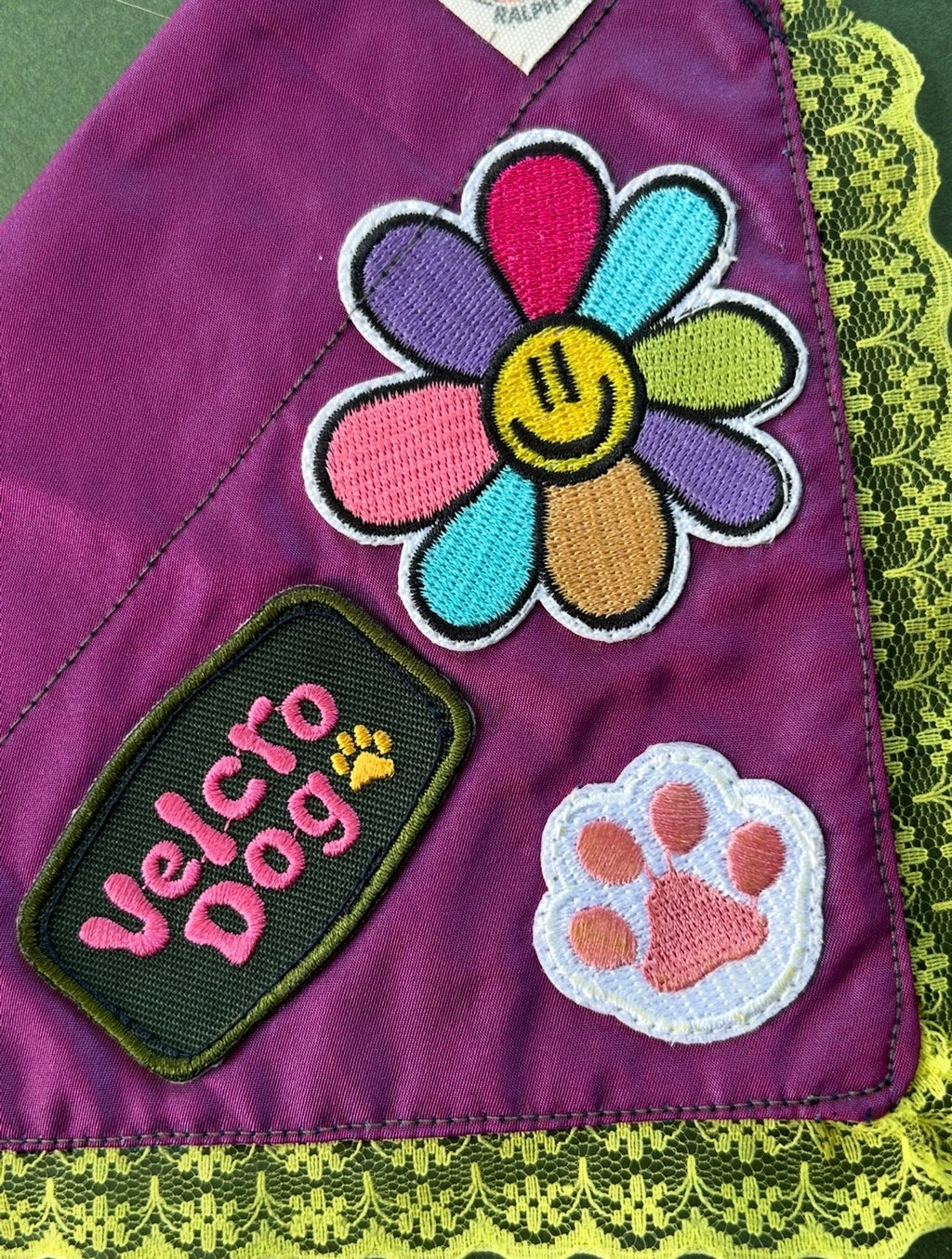 Velcro dog