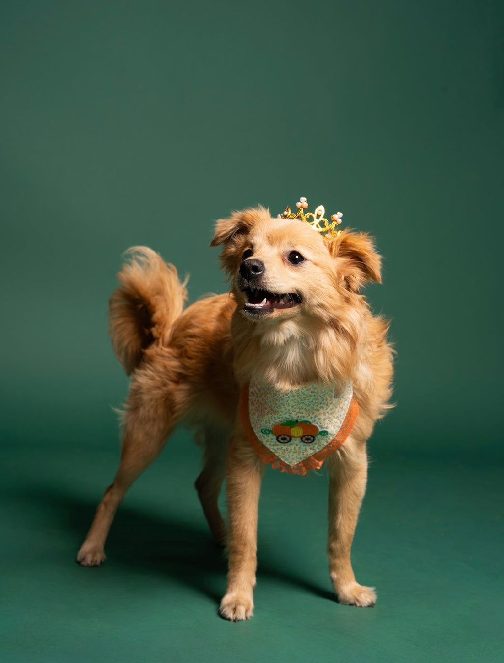 Pumpkin Princess