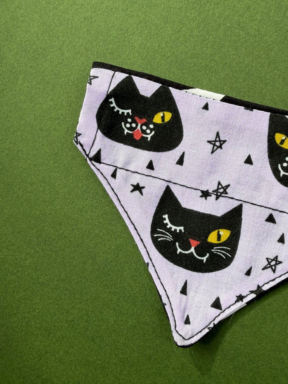 Black cat magic ( cat )