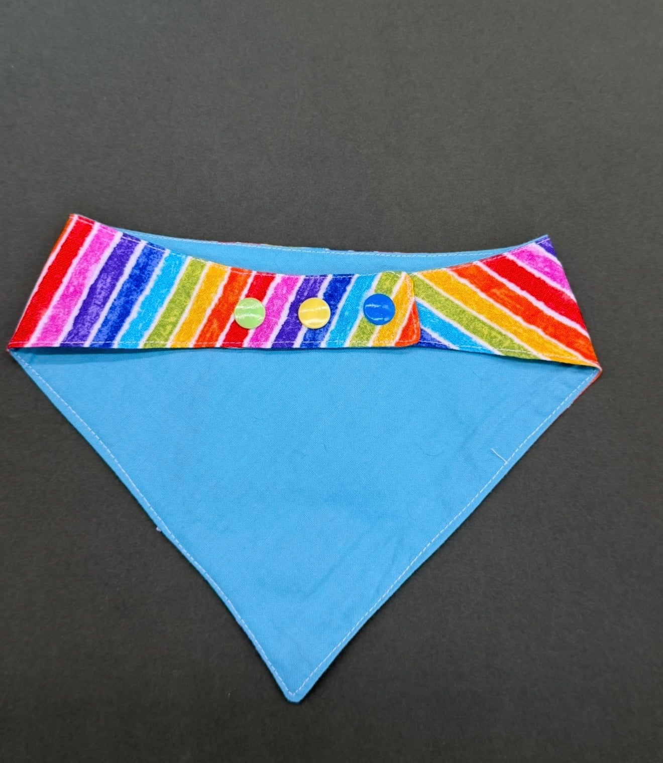 Gay Pride ( poppet )