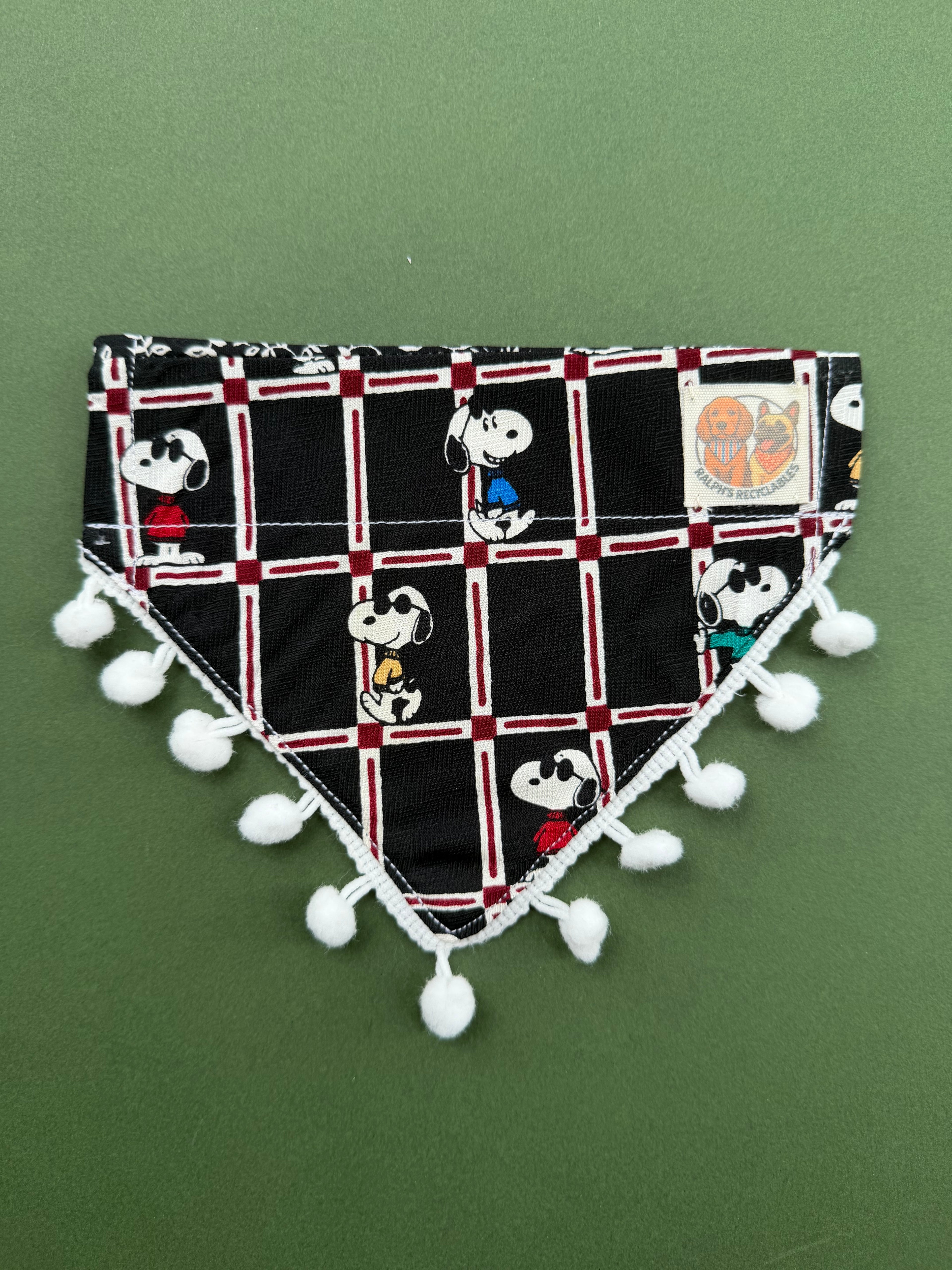 Snoopy stroll