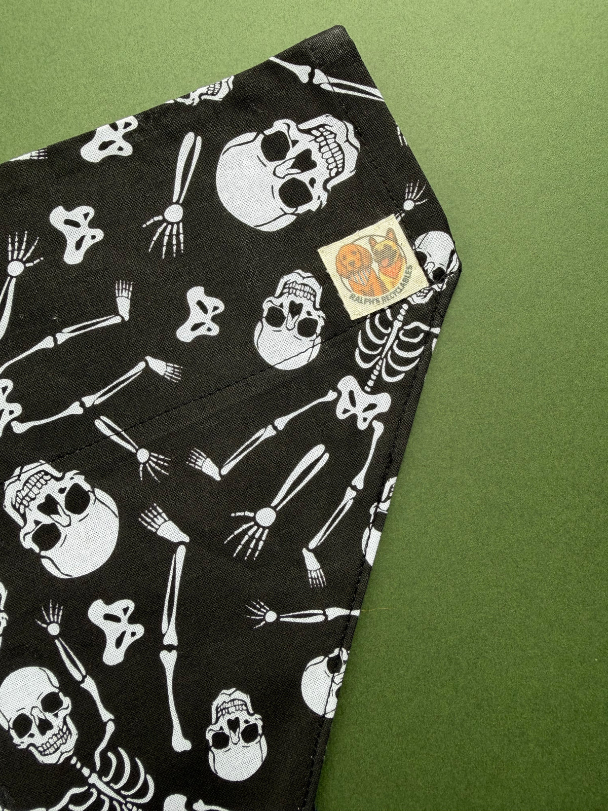 Spooky Scary Skeletons