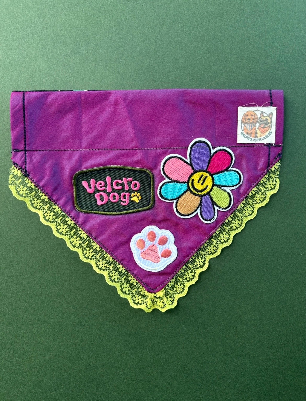 Velcro dog