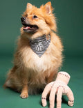 Handsome Thing