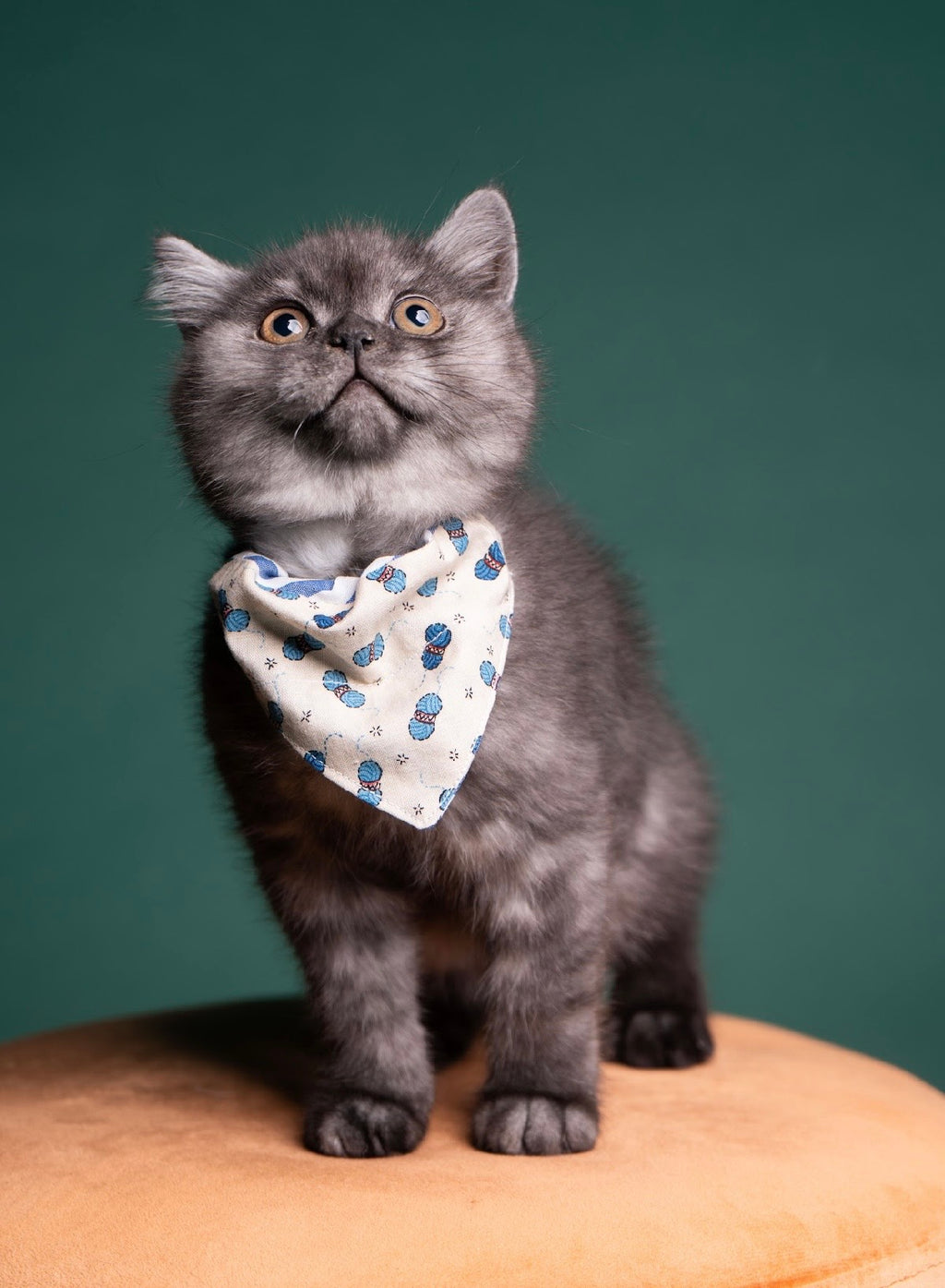 Woolly whiskers