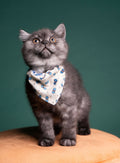 Woolly whiskers