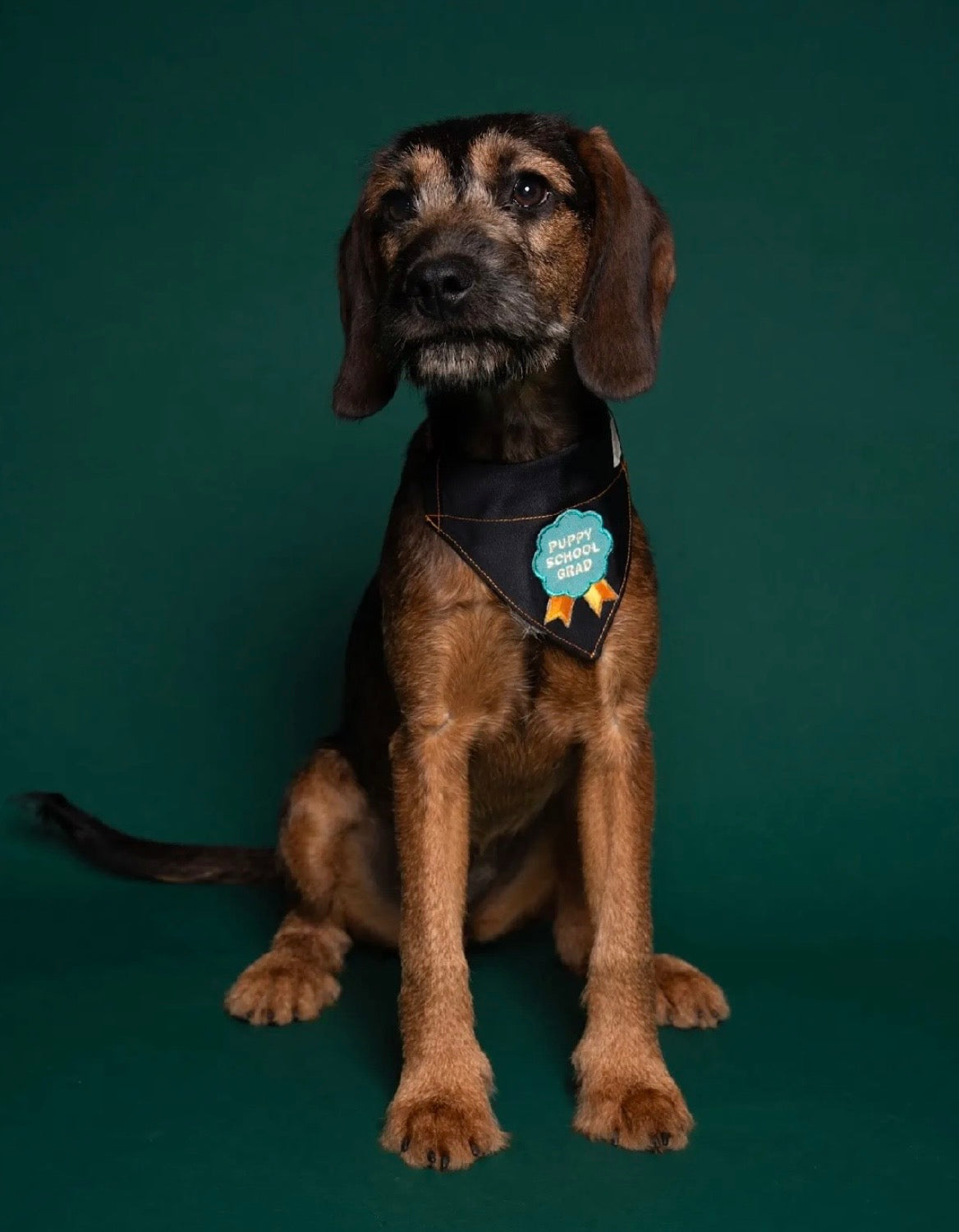 Puppy school grad