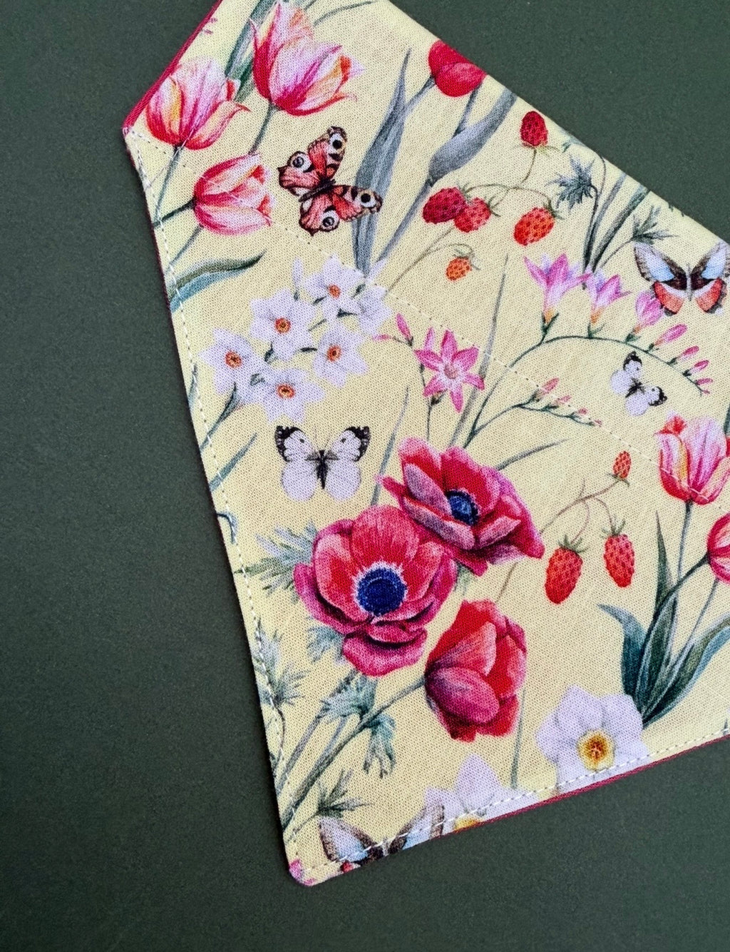 Poppy patch