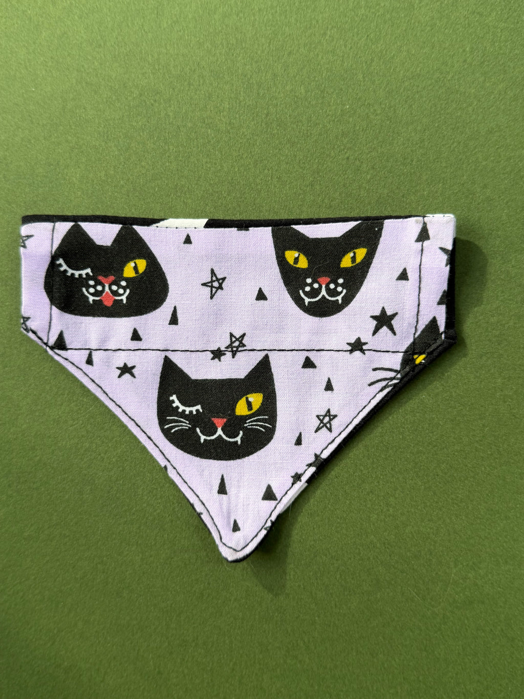Black cat magic ( cat )