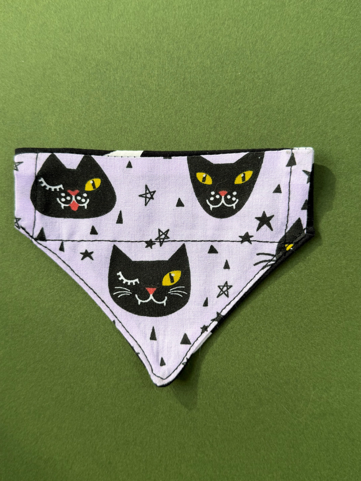 Black cat magic ( cat )