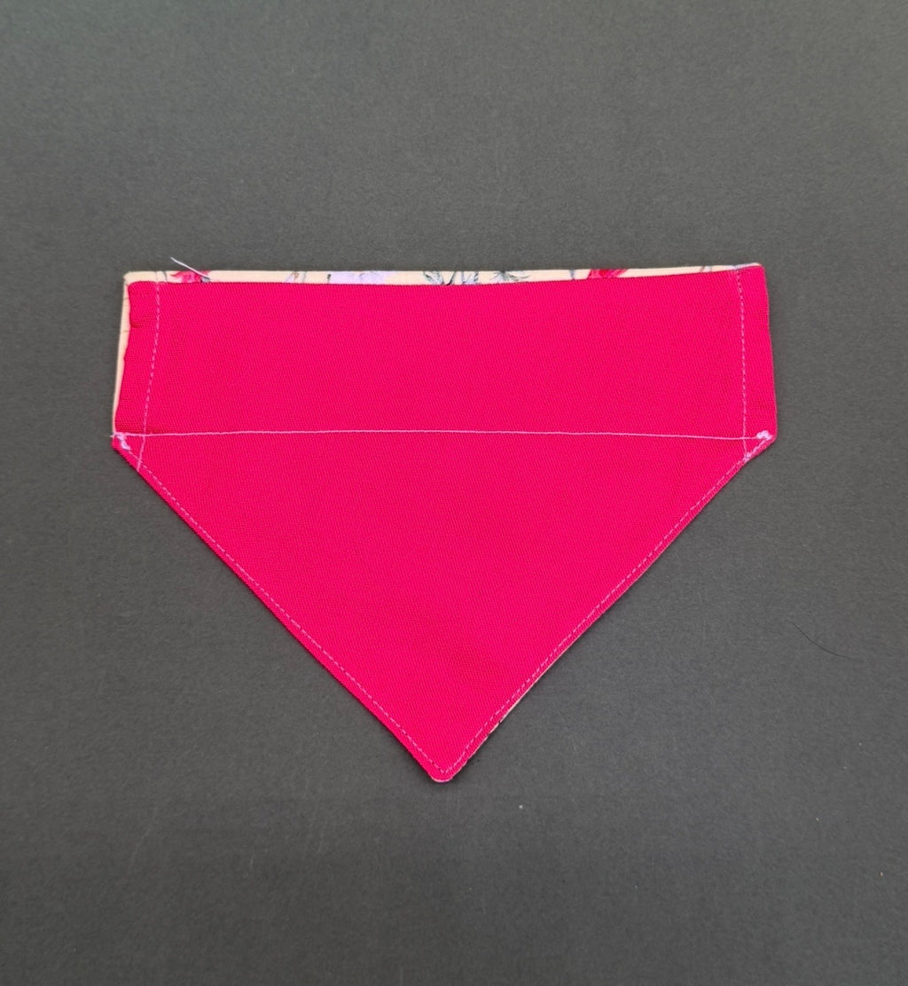 Poppy patch