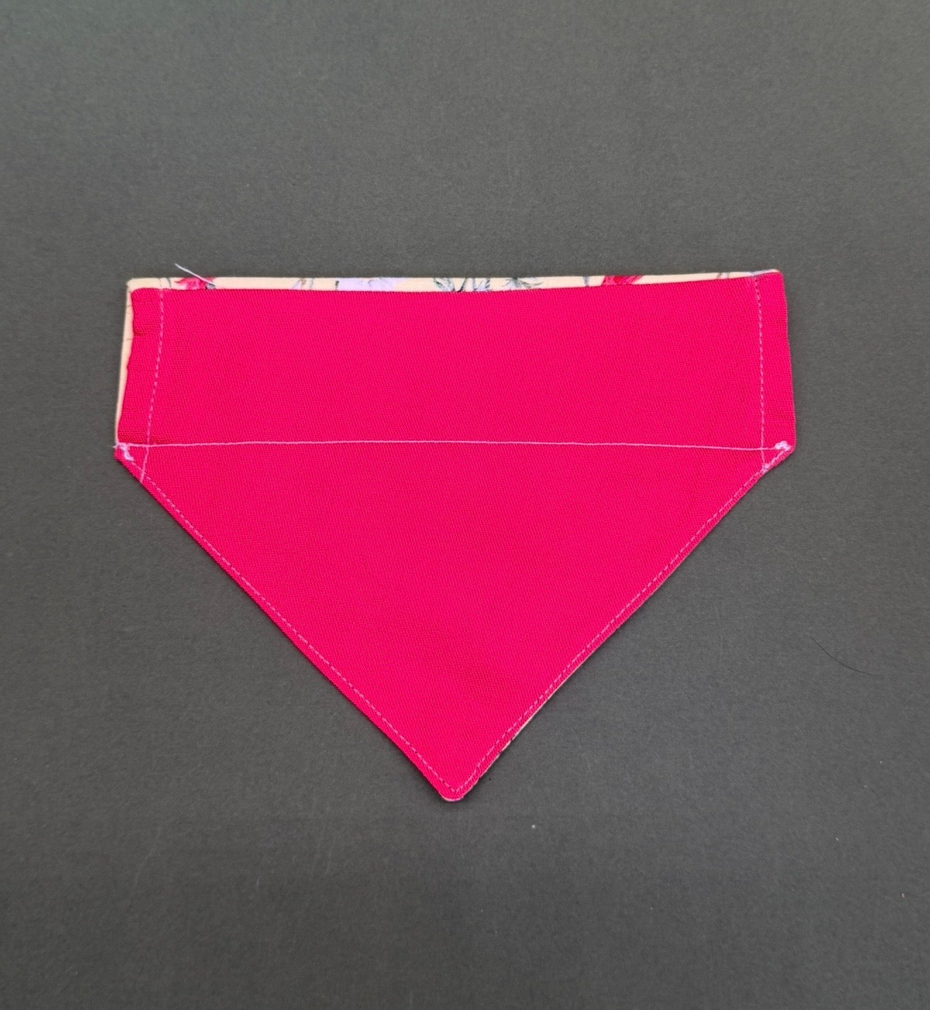 Poppy patch
