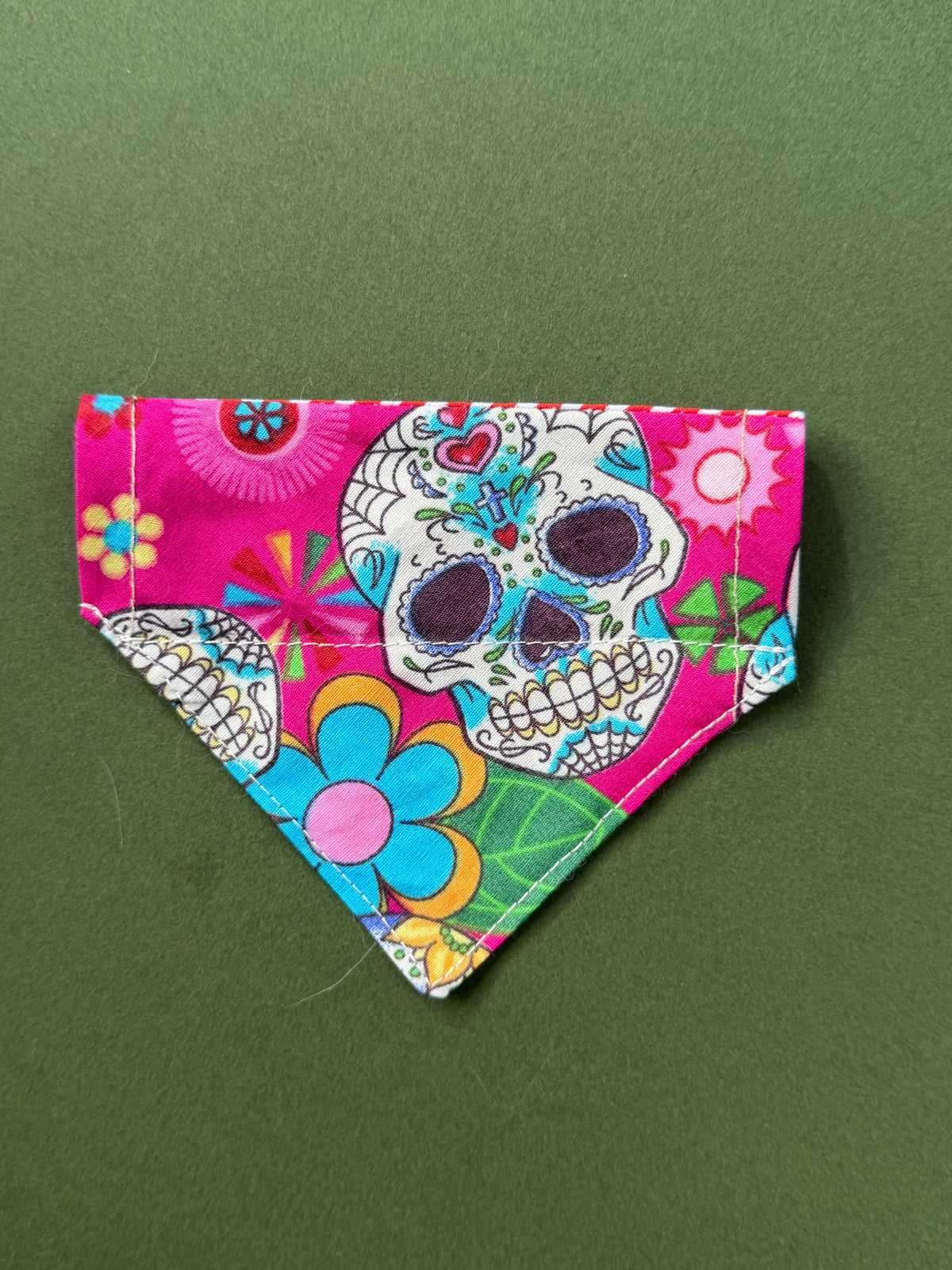 Sweet sugar skull ( cat )