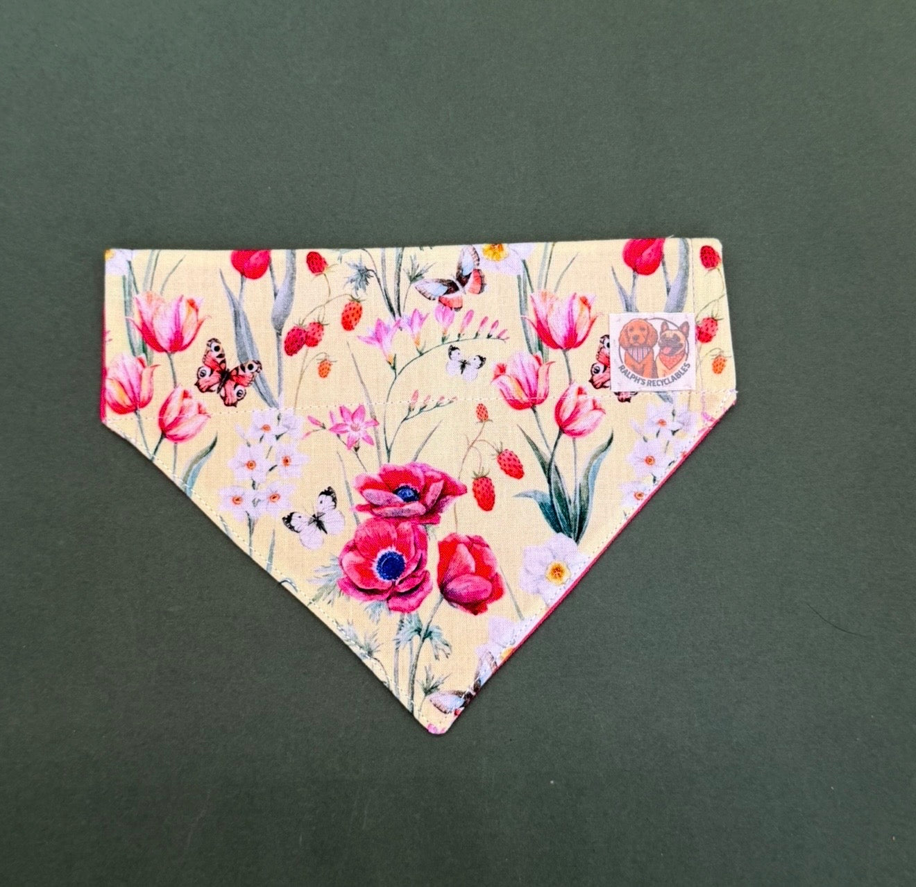 Poppy patch