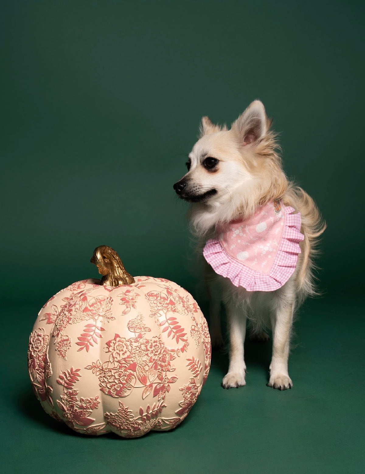 Pink Pumpkins