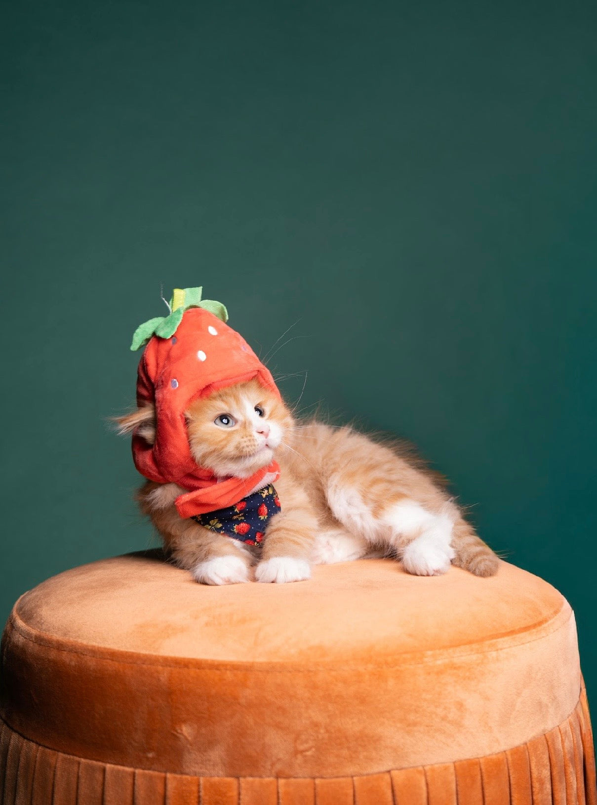 Strawberry dreams