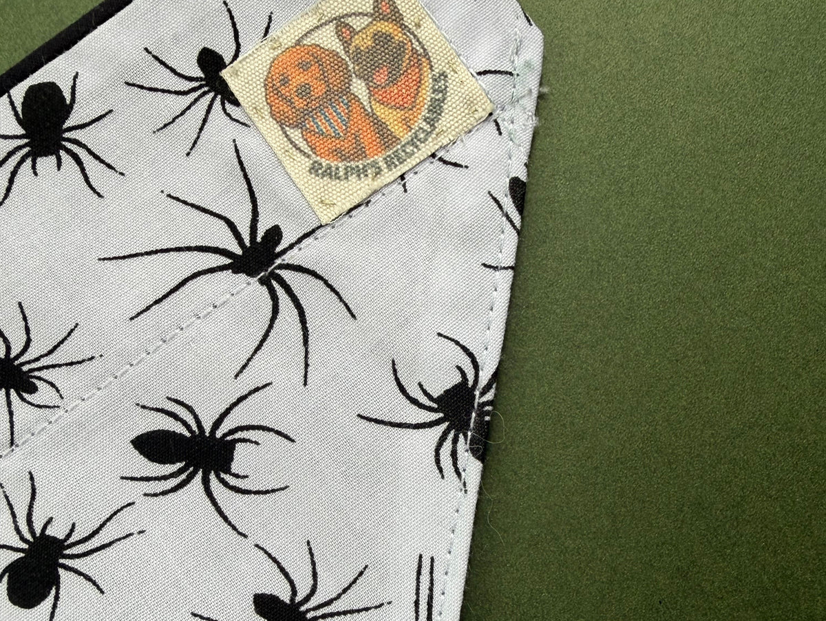 Spiders Layer