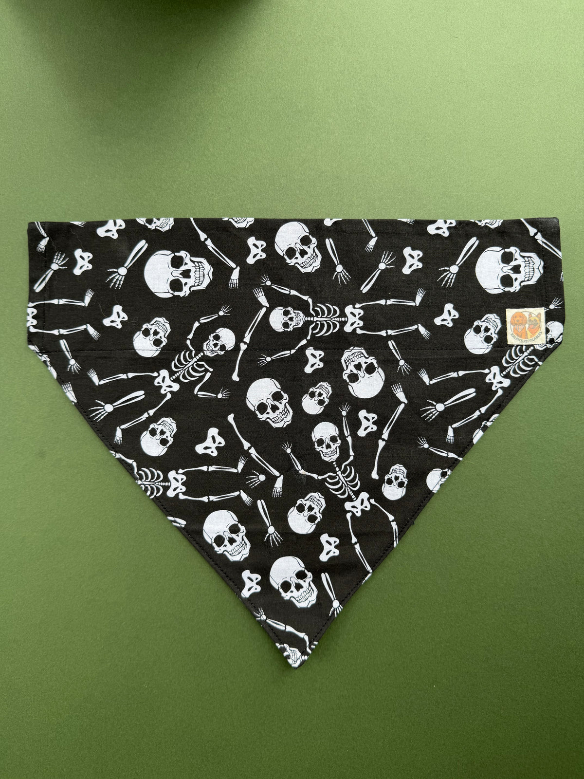 Spooky Scary Skeletons