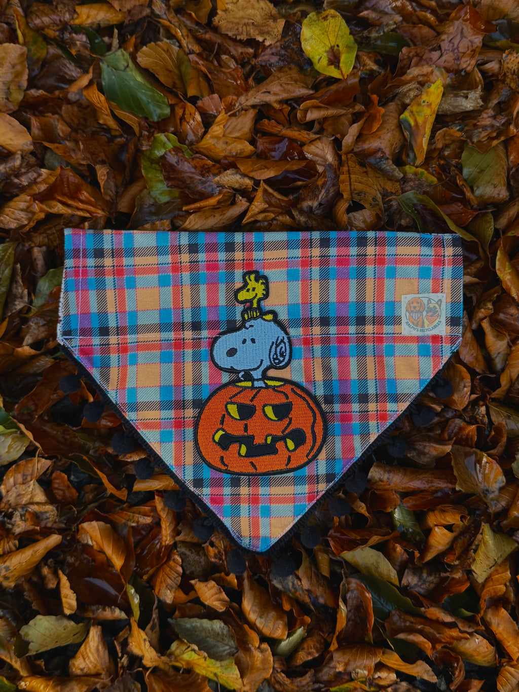 Peanuts pumpkin patch