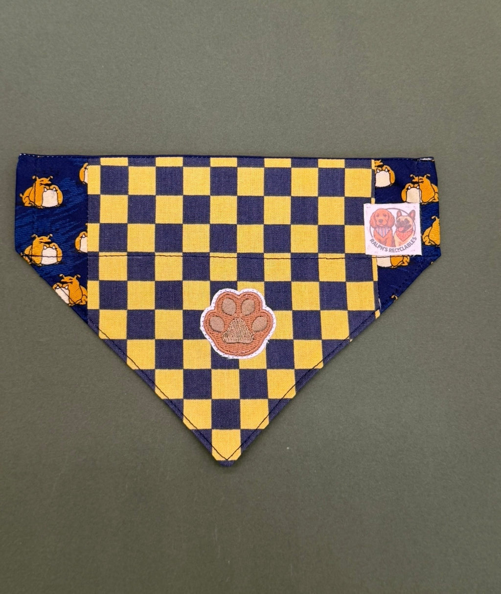 Checkered champion