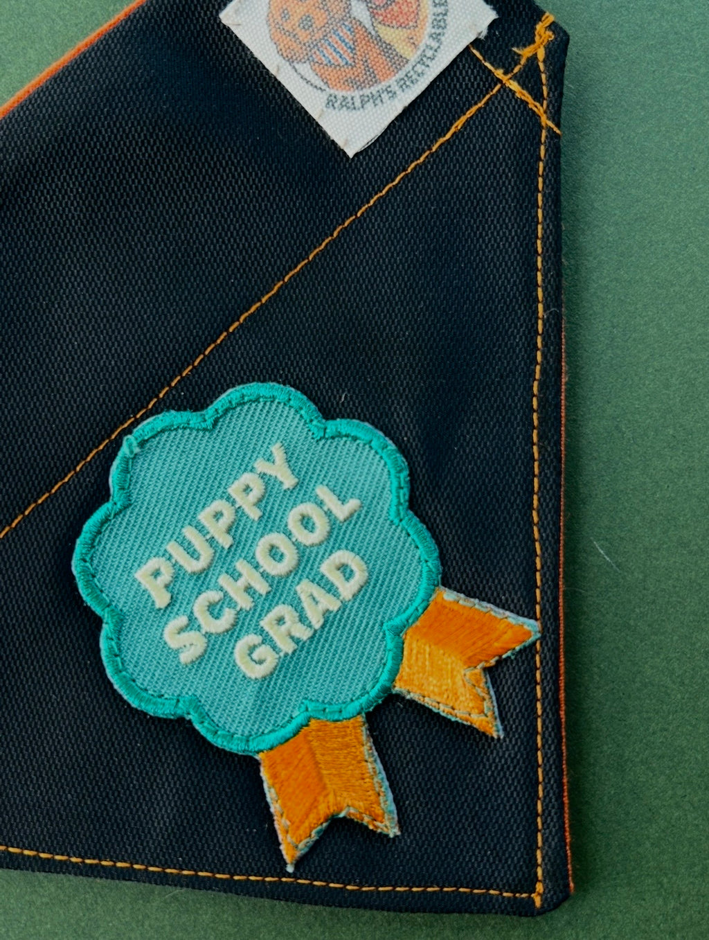 Puppy school grad
